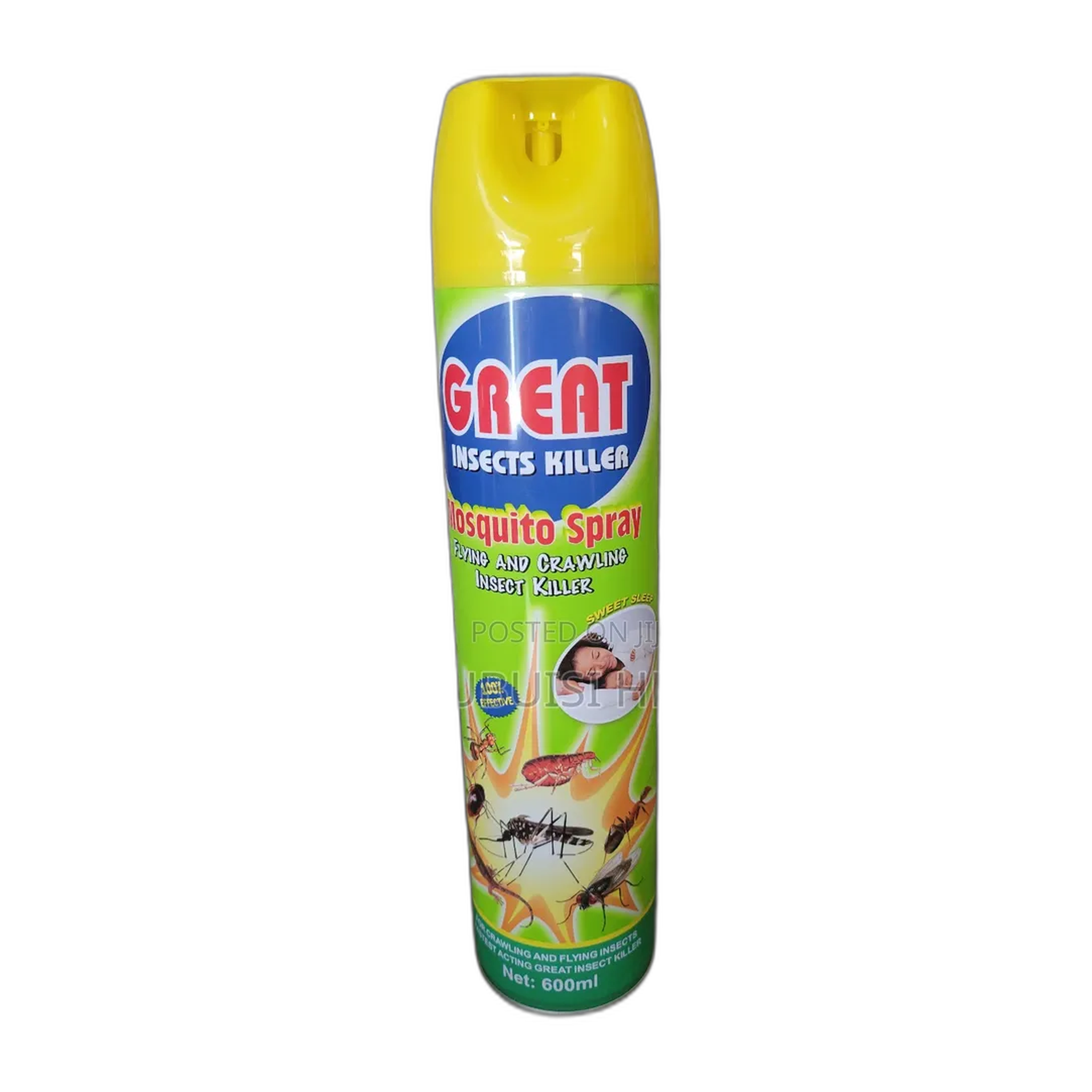Great Crawling & Flying Insect Killer 600ml